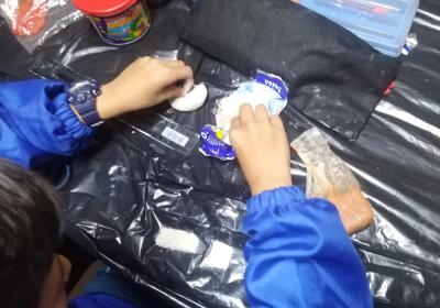 493344594 1260561629411050 6331272994525103906 N